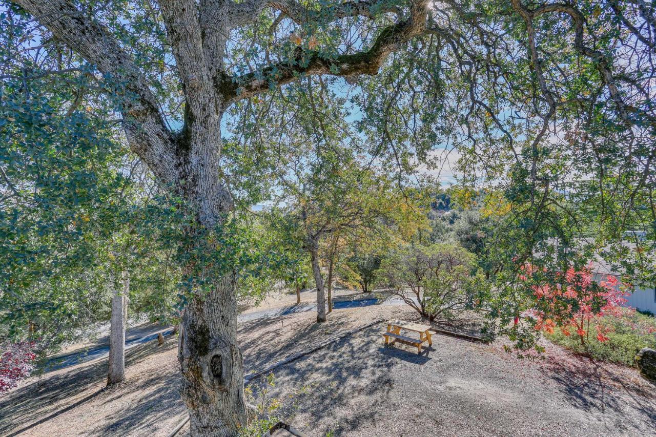 Cozy Studio With Well-Being Retreat Near Yosemite! Ahwahnee Buitenkant foto