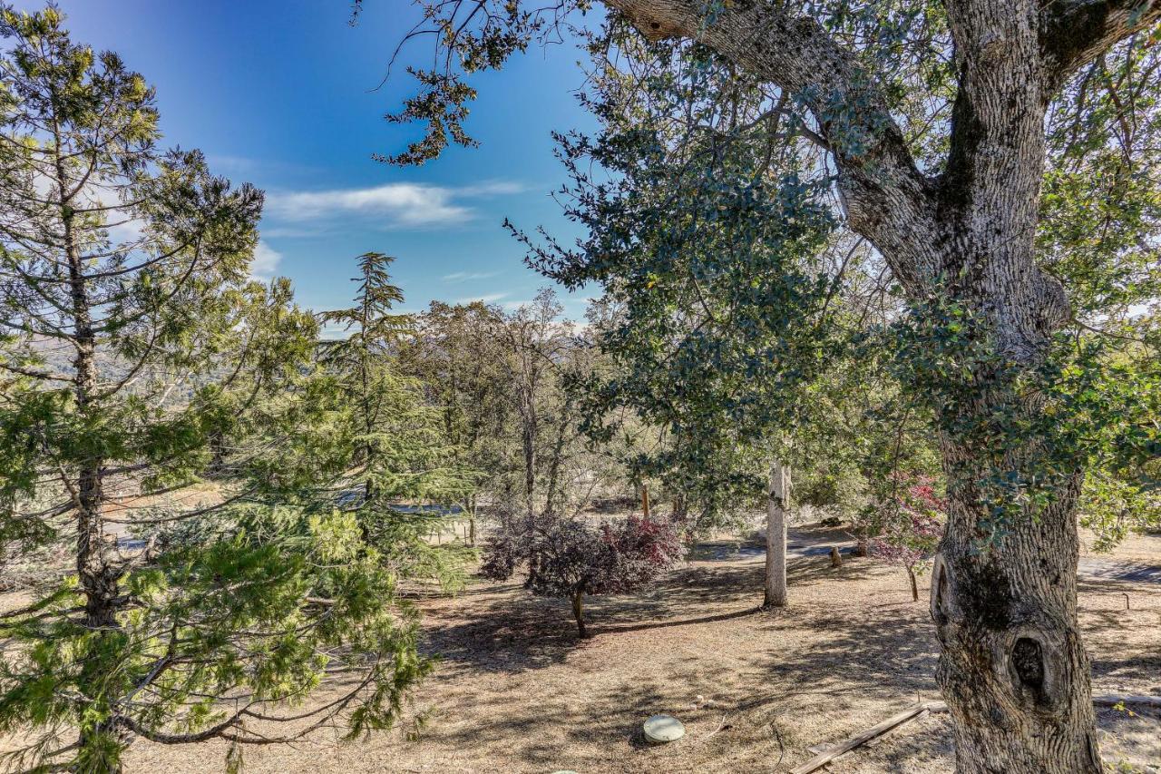 Cozy Studio With Well-Being Retreat Near Yosemite! Ahwahnee Buitenkant foto