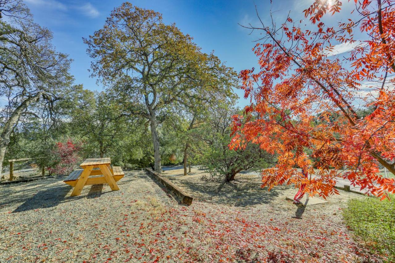 Cozy Studio With Well-Being Retreat Near Yosemite! Ahwahnee Buitenkant foto